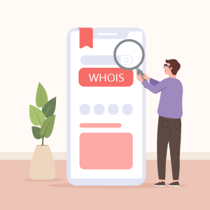 WHOIS چیست و چگونه از آزاد بودن نام دامنه خود مطمئن شویم؟