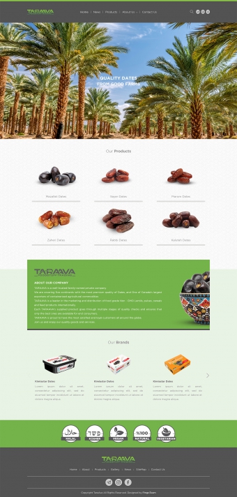 طراحی سایت تارا آوا